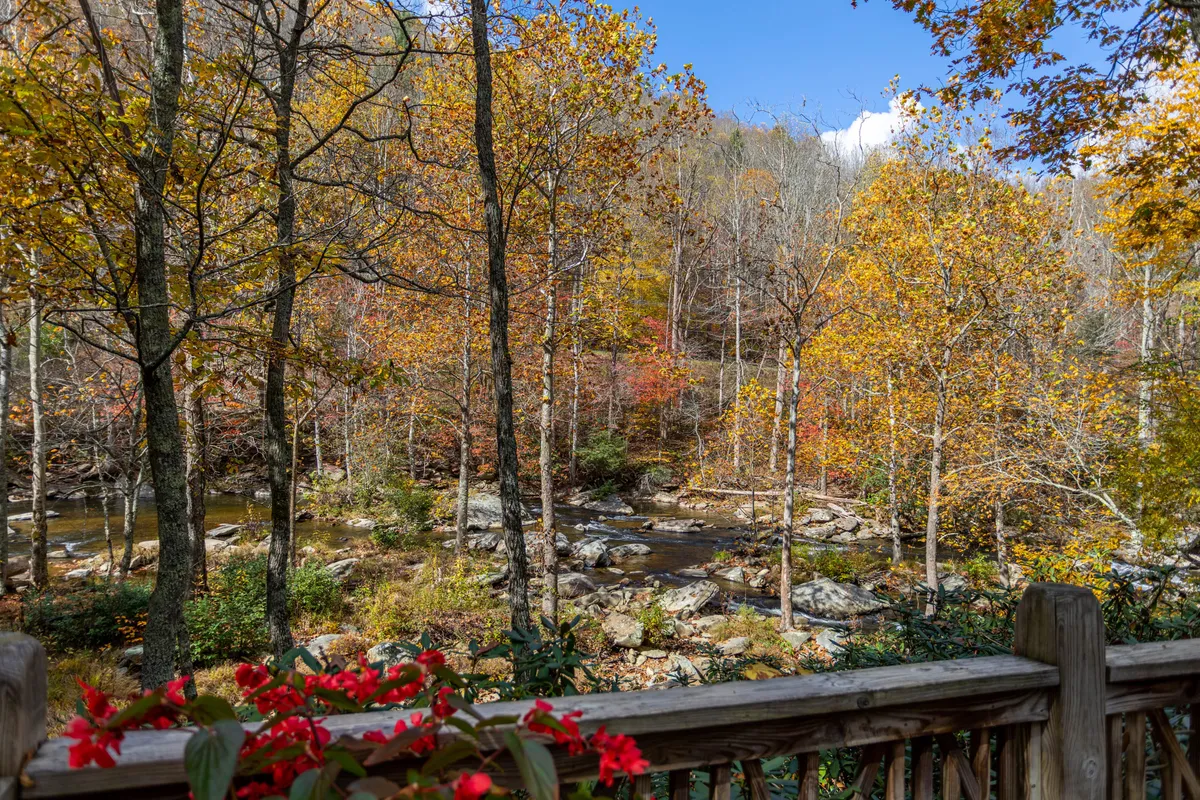 A serene view from a wooden deck overlooking a flowing stream lined with rocks and surrounded by colorful foliage. The scene invites guests to relax, watch the sunset through the trees, and savor the peaceful ambiance created by the sounds of nature.