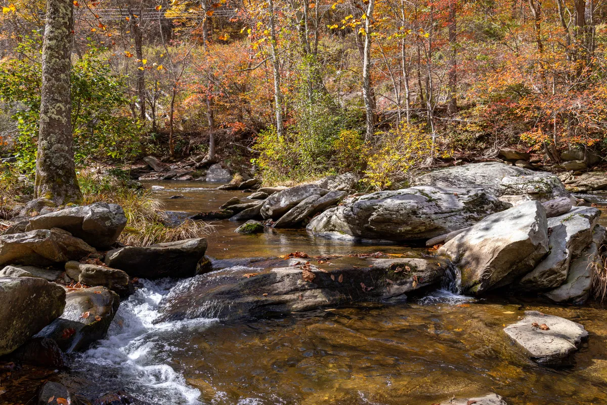 A serene stream bordered by large rocks and vibrant autumn foliage, providing a scenic and peaceful natural setting. Perfect for wildlife watching, skipping stones, and riverside adventures.