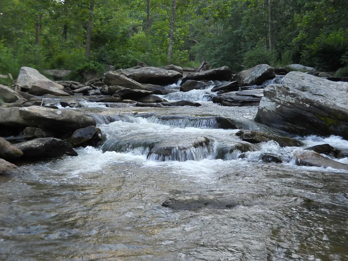 A picturesque riverbank scene featuring flowing water over smooth rocks, framed by lush greenery. The area appears serene and natural, indicative of excellent fishing and wildlife viewing opportunities. The scene is immersive, drawing the viewer out to the river's edge.