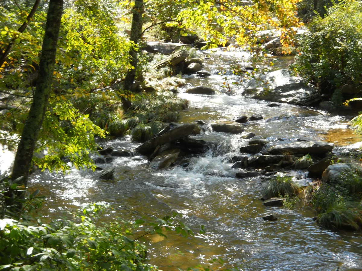 A serene stretch of river flows between mossy rocks and lush green foliage. The water glistens in the sunlight, and the surrounding woods evoke a sense of natural beauty and tranquility—ideal for fishing, kayaking, and wildlife watching.